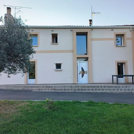 Vegetal Jungle Bed & Breakfast Blaye-Les-Mines Luaran gambar