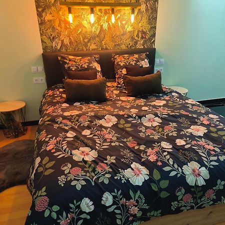 Vegetal Jungle Bed & Breakfast Blaye-Les-Mines Luaran gambar